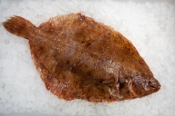 ecclesall_fisheries-2440